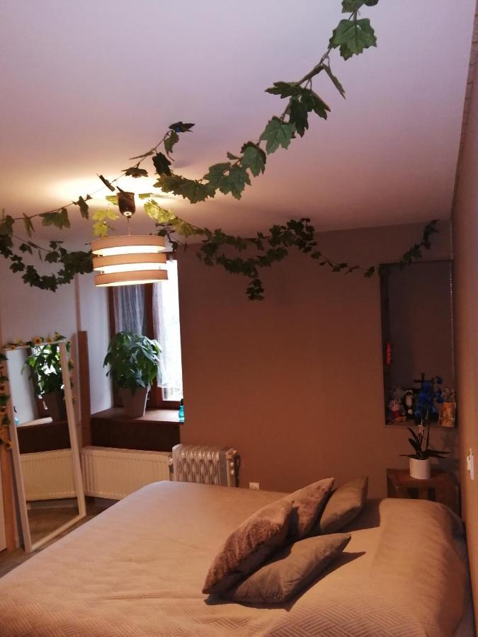 "Les Chaillottes" Chailles  Exterior foto